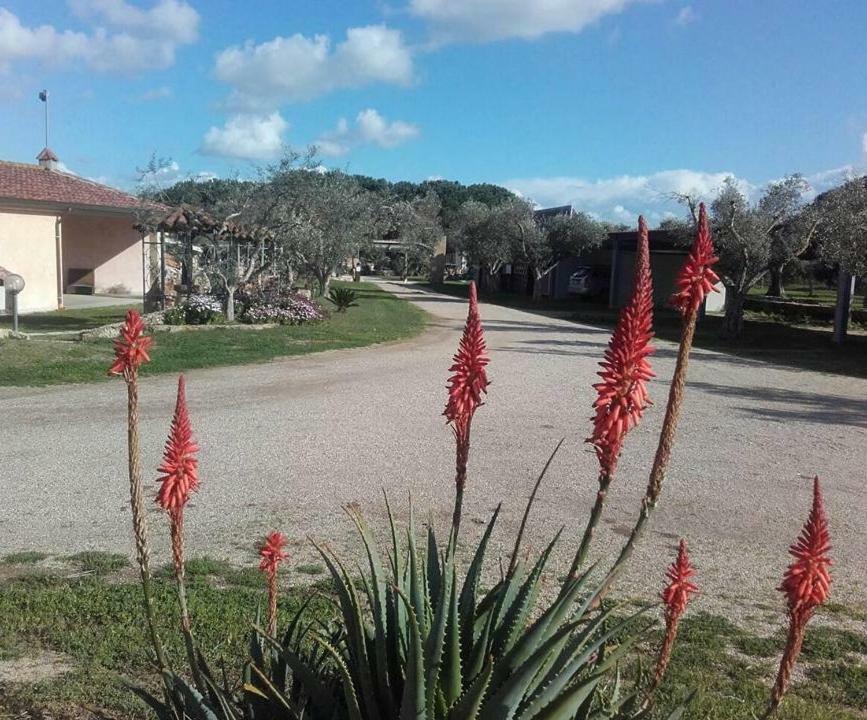 Agriturismo Sa Ruda Кабрас Экстерьер фото
